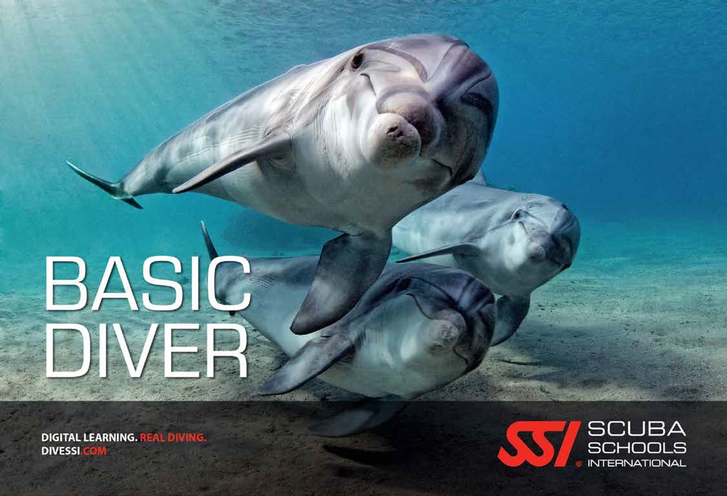 SSI BASIC DIVER