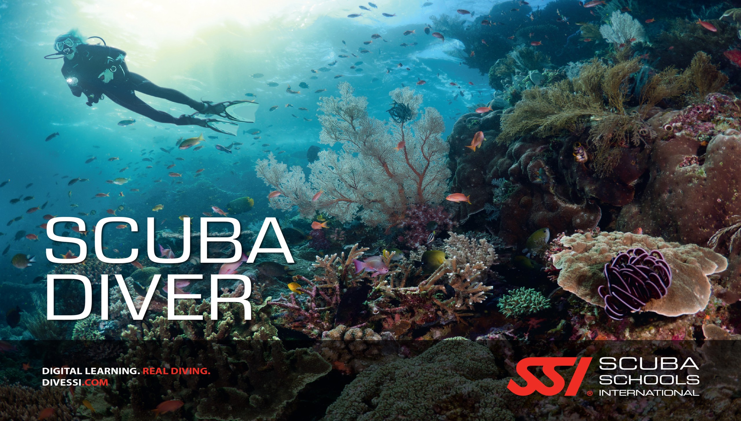 SSI SCUBA diver certificate