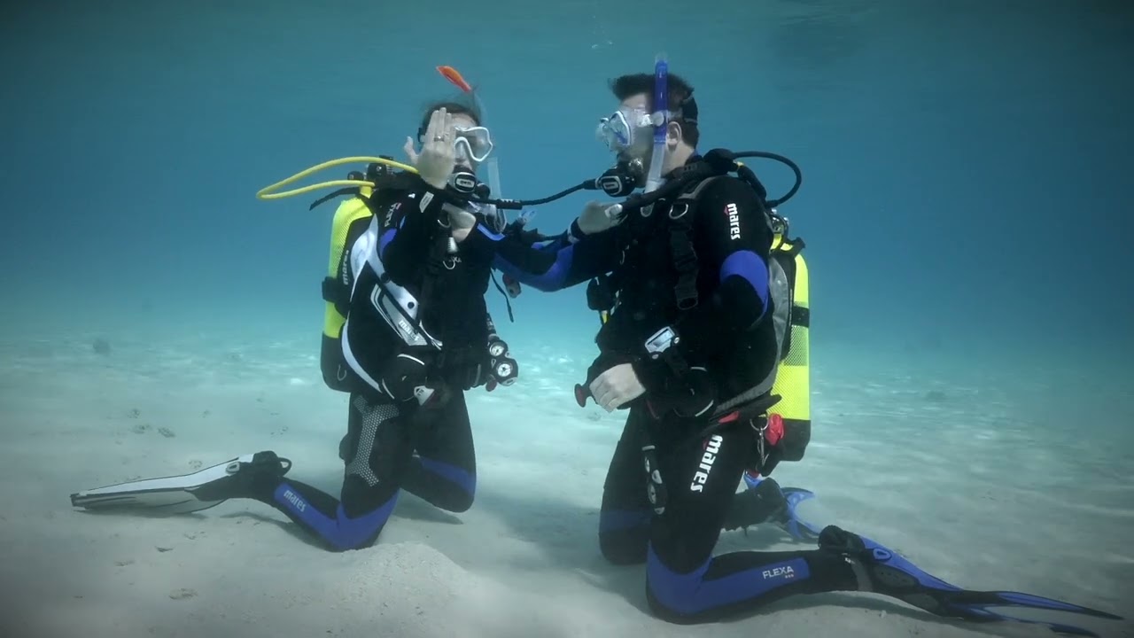 SSI Basic diver
