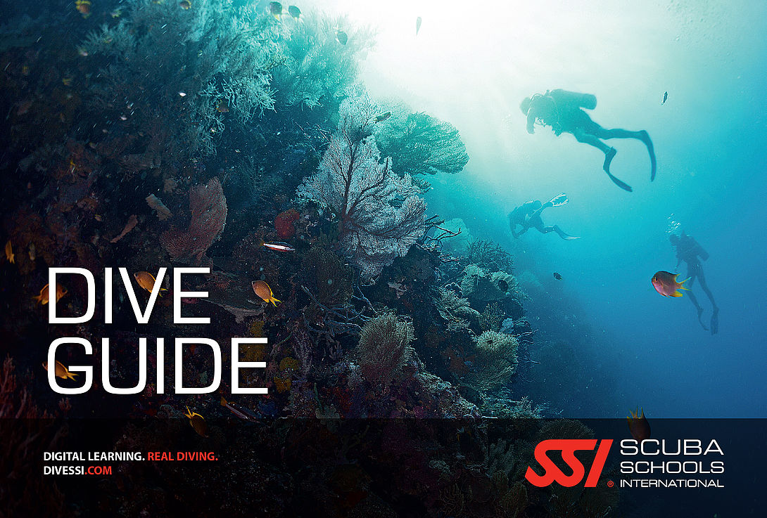 SSI Dive Guide certificate