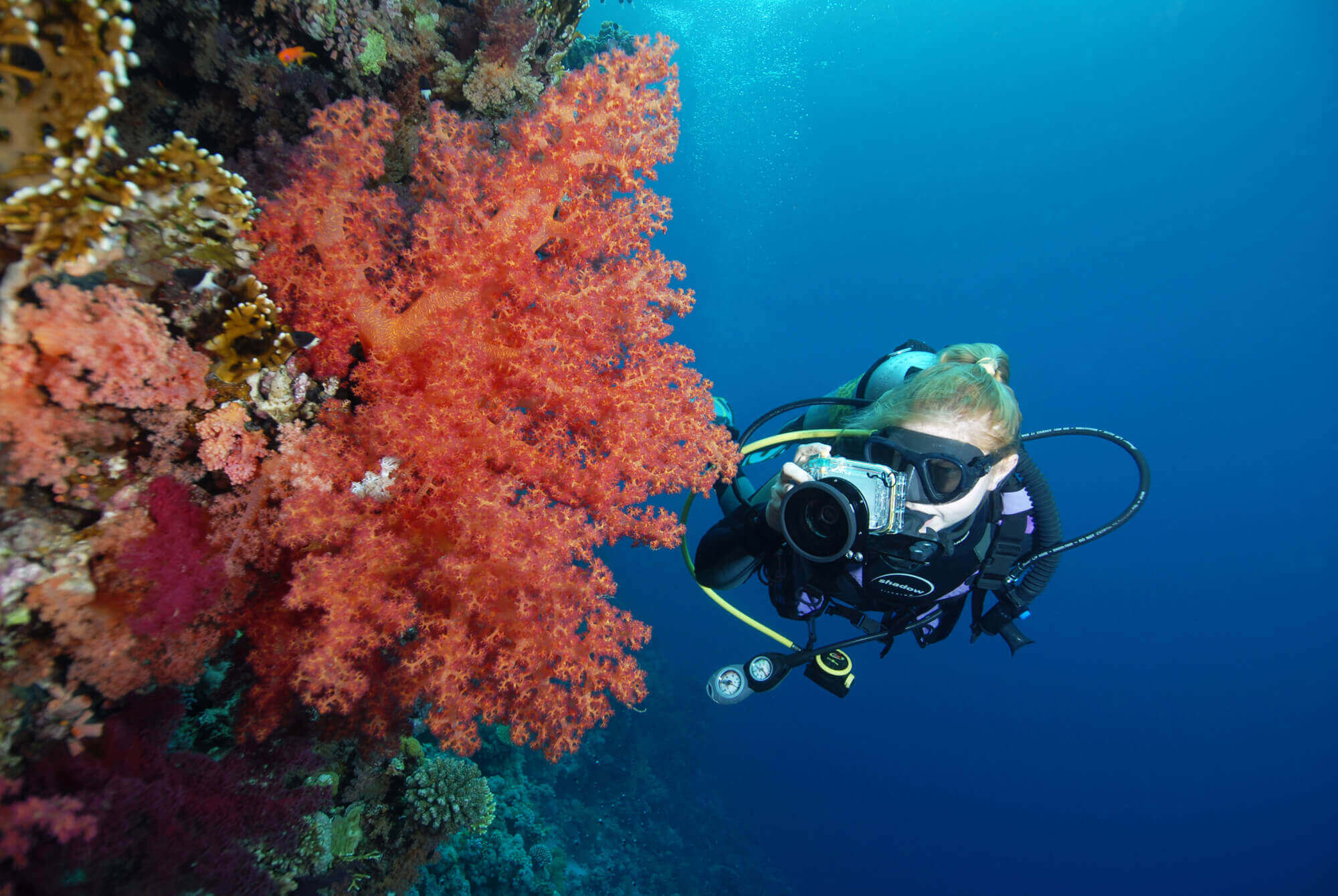 SSI PHOTO&VIDEO diver 2