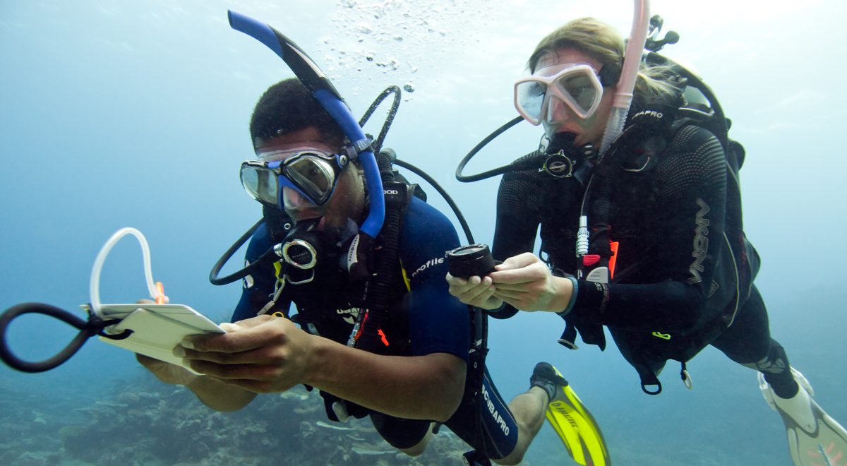 naui-advanced-open-water-diver-course